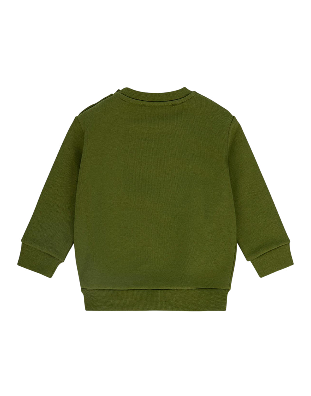 Iceberg  Verde