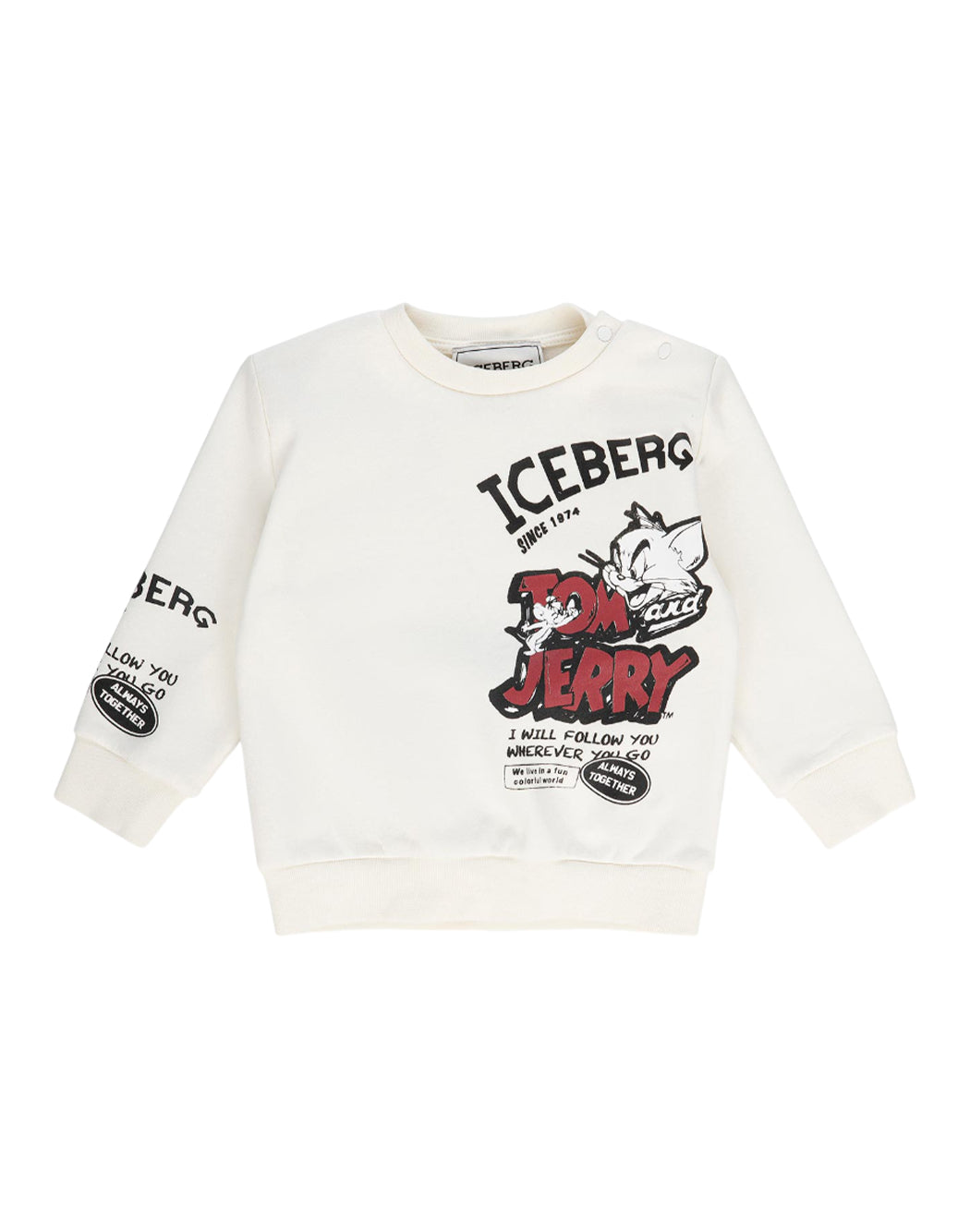 Iceberg  Bianco