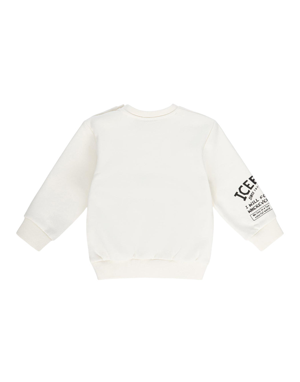 Iceberg  Bianco