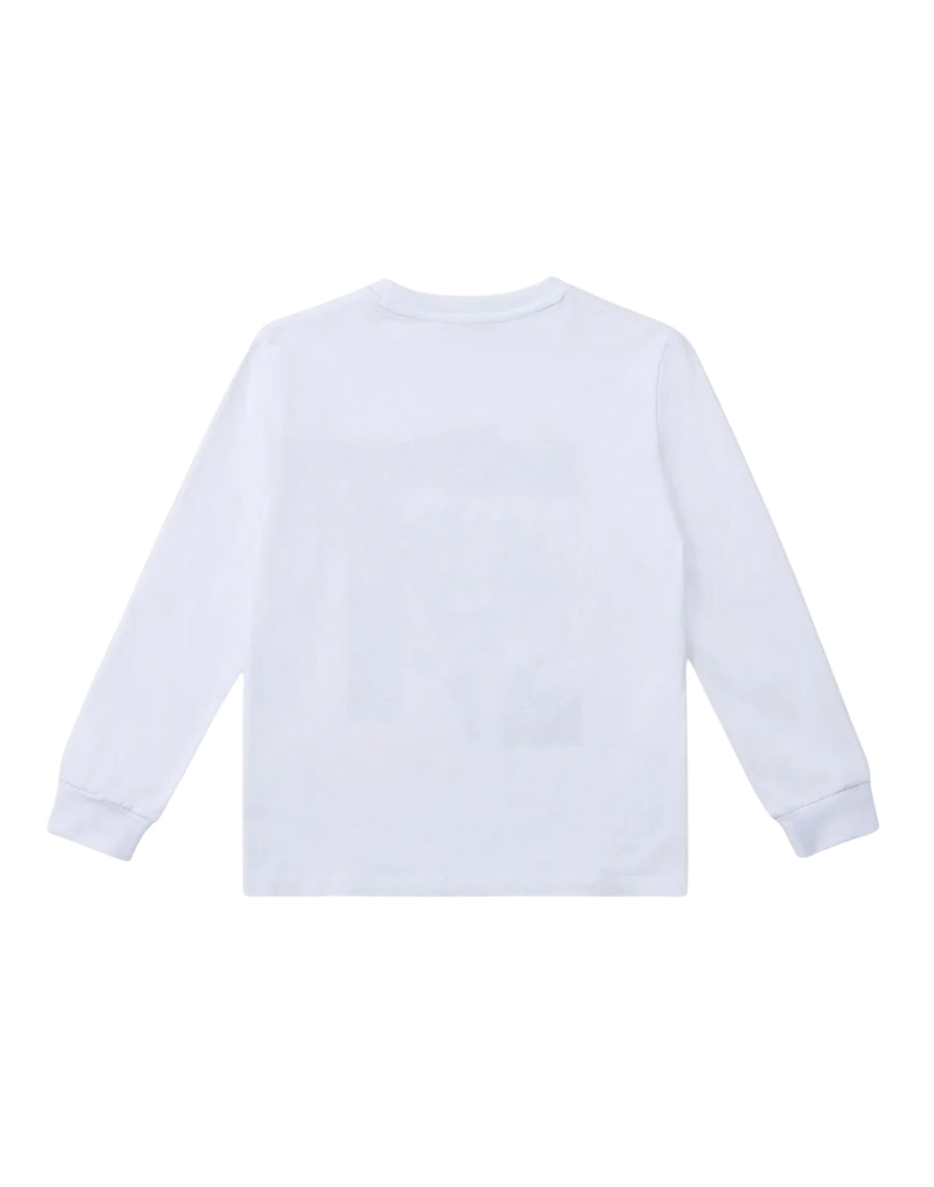 Iceberg  Bianco