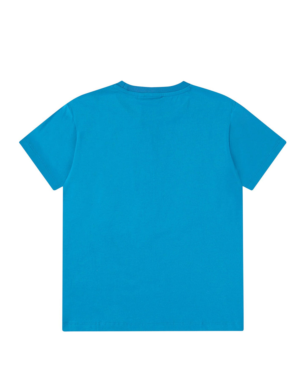 Molo  Blu