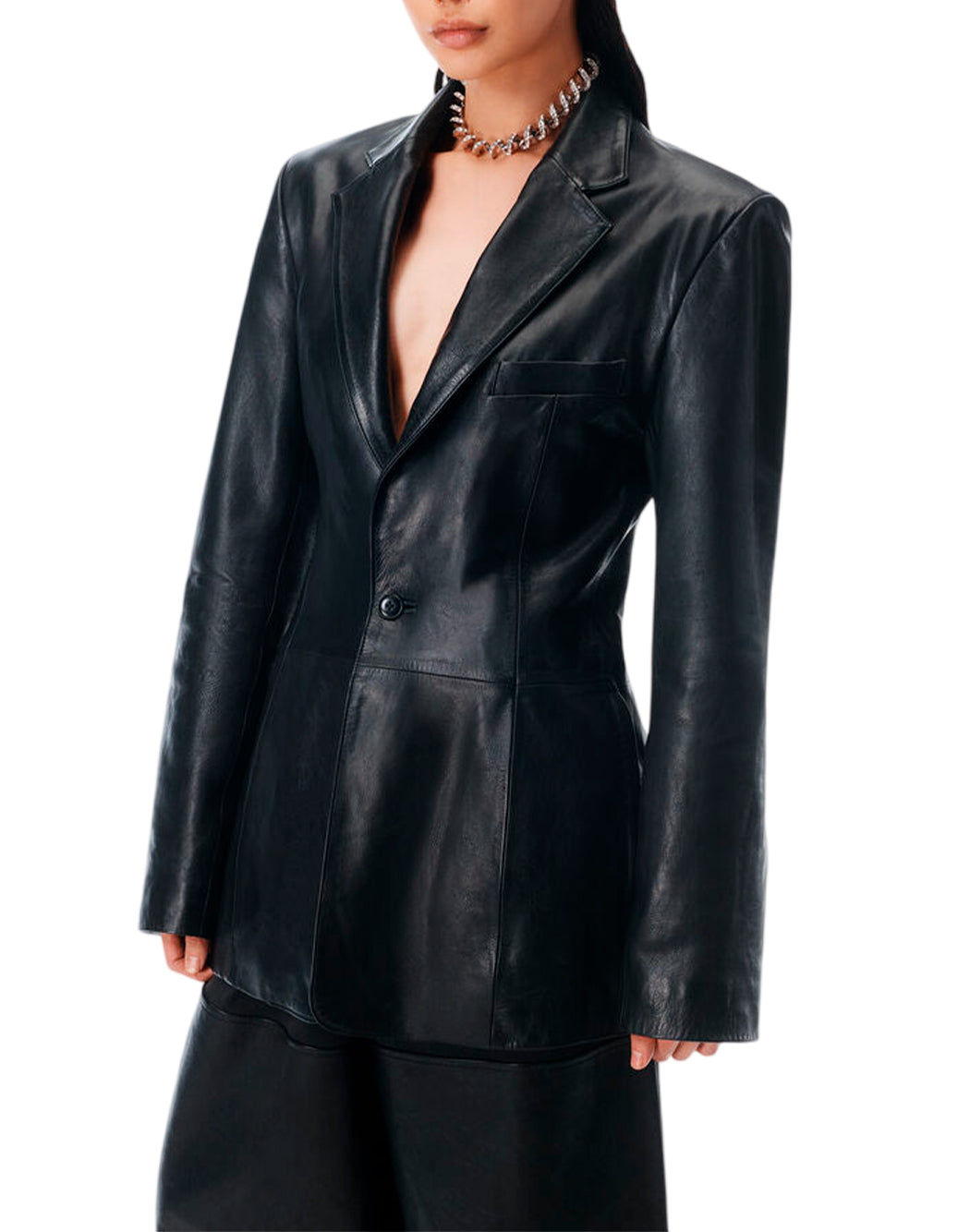 Alexander Wang  Nero