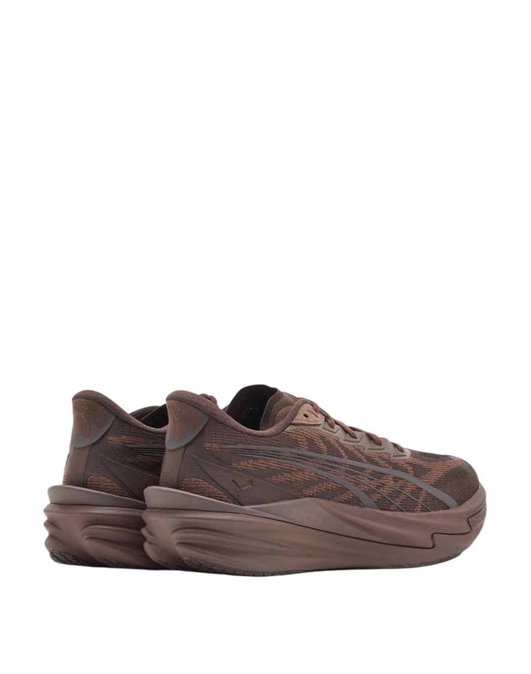 Brauner Puma