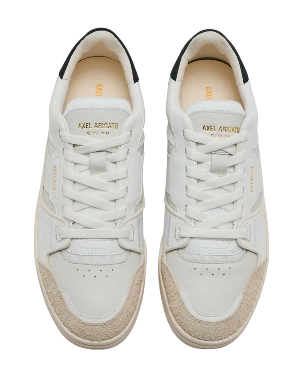 Axel Arigato  Bianco