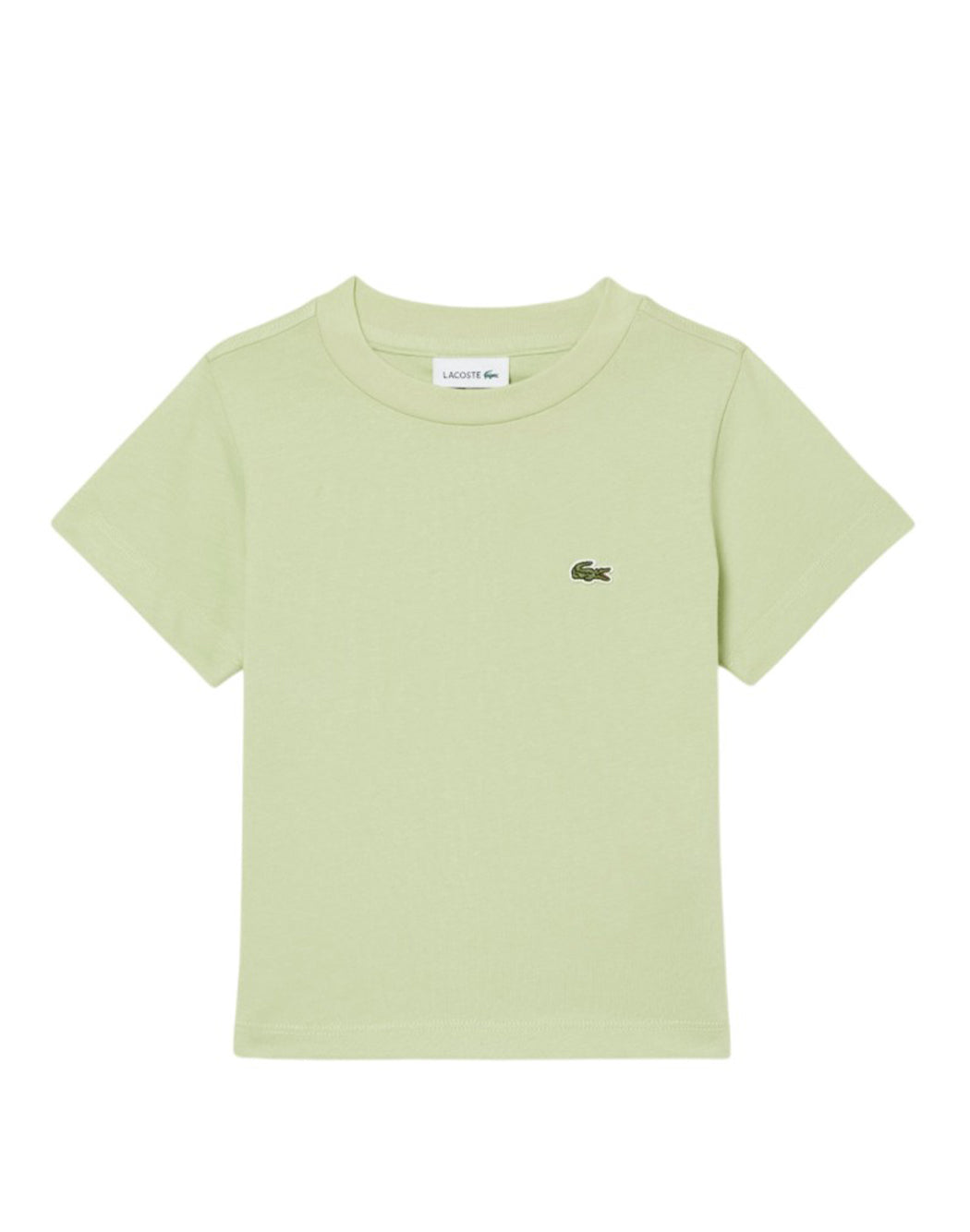 Lacoste  Verde