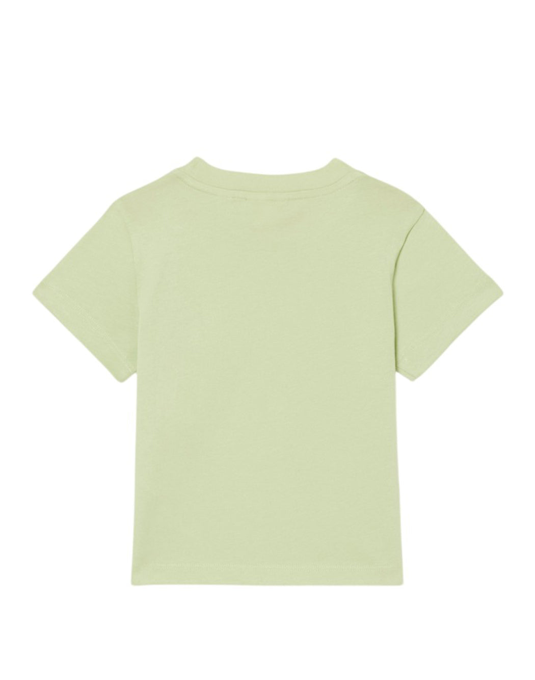 Lacoste  Verde
