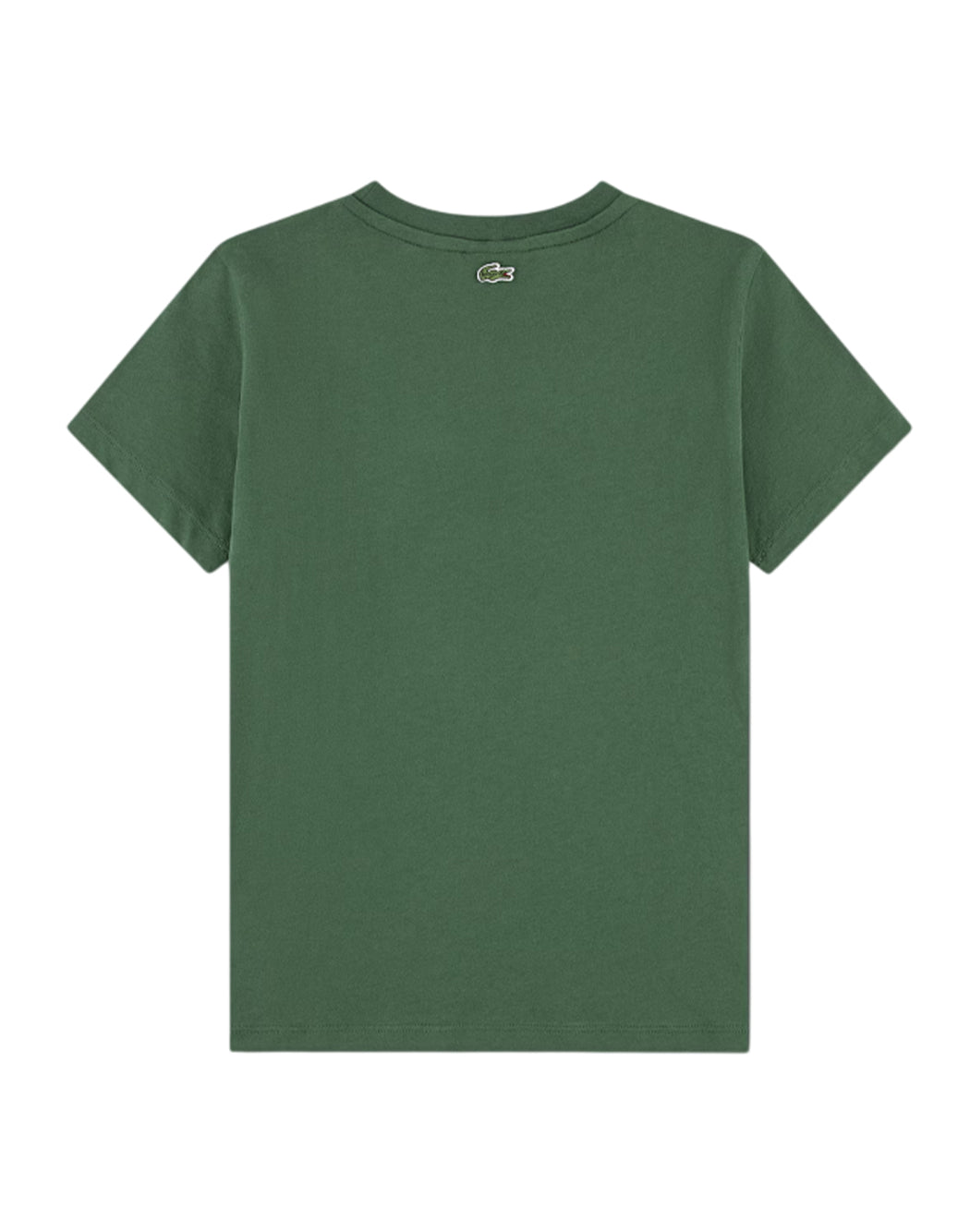 Lacoste  Verde