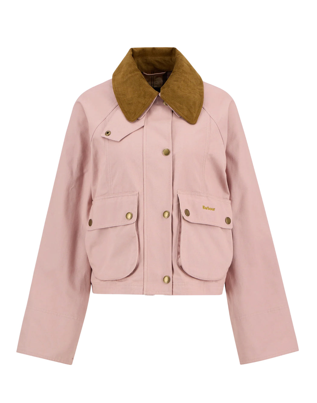 Barbour  Rosa