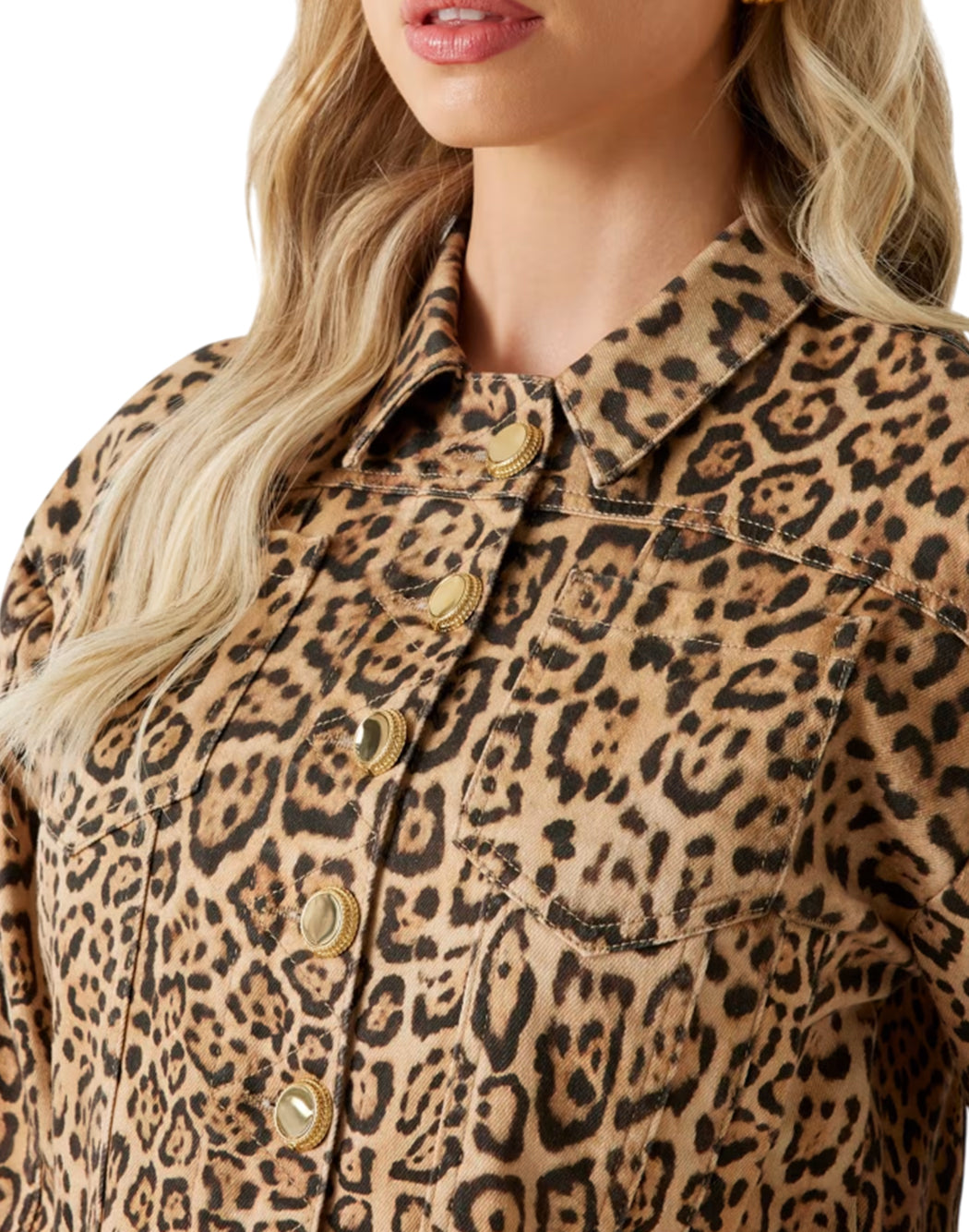 Marciano By Guess  Marrone
