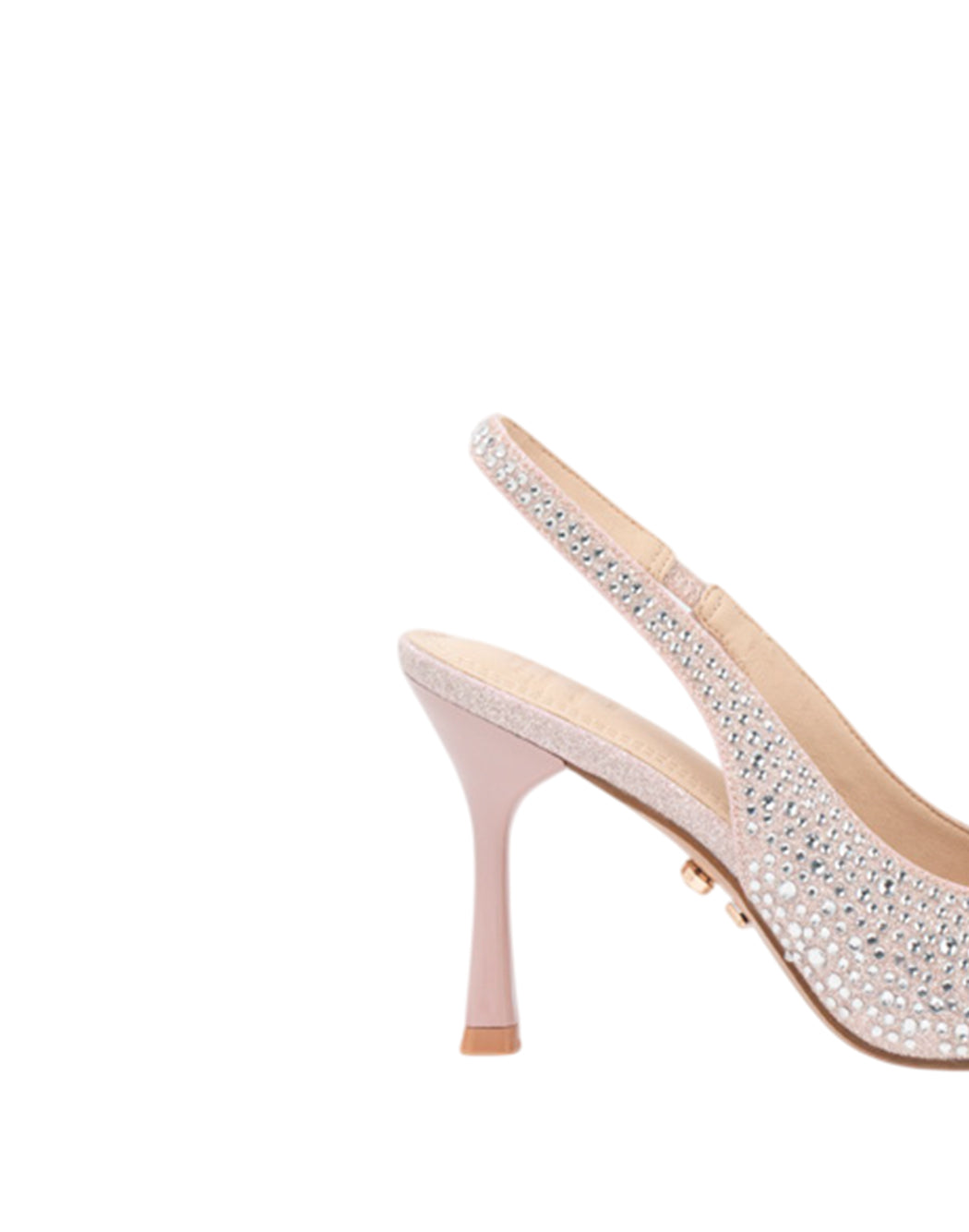 Twenty Fourhaitch  Rosa