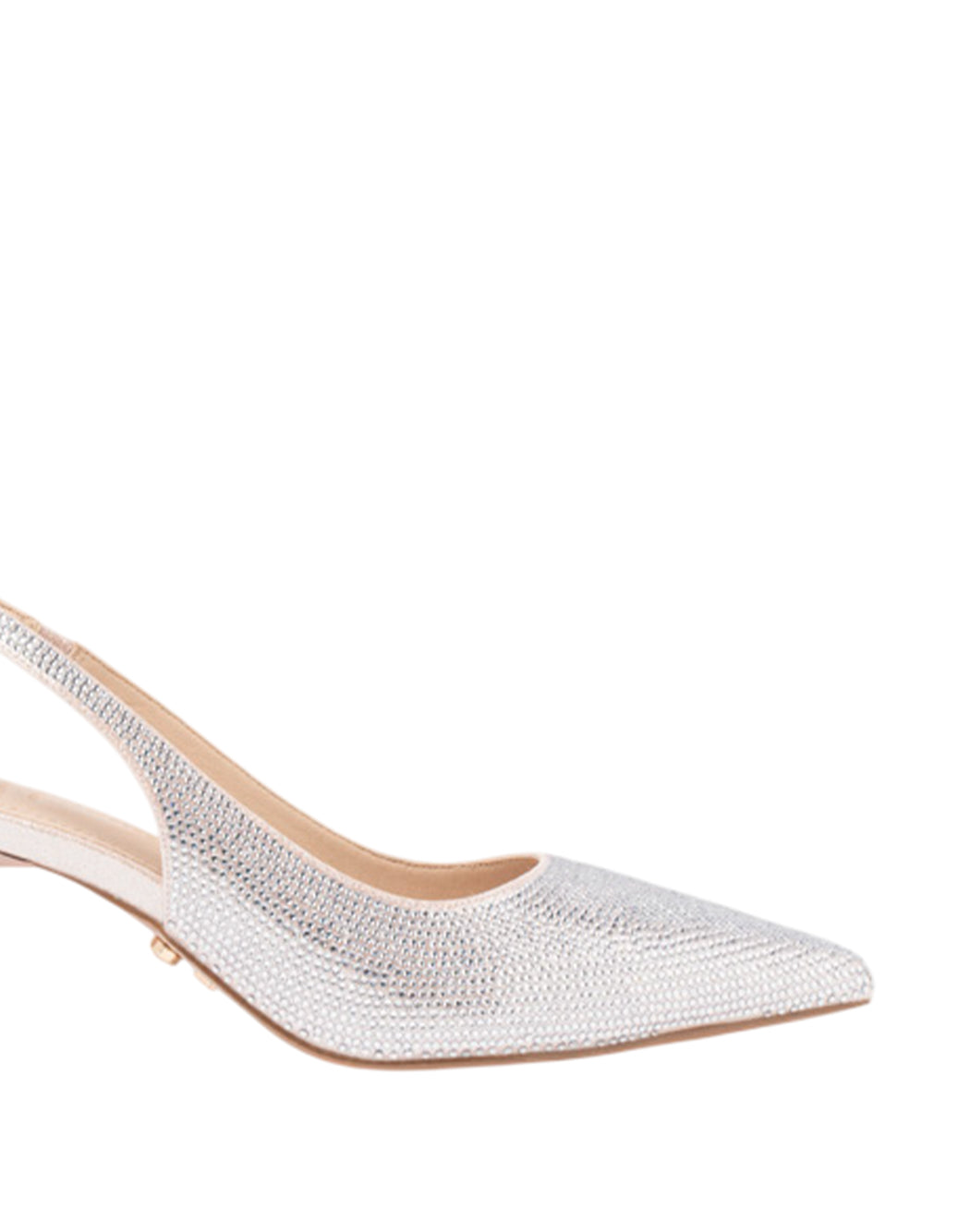 Twenty Fourhaitch  Rosa