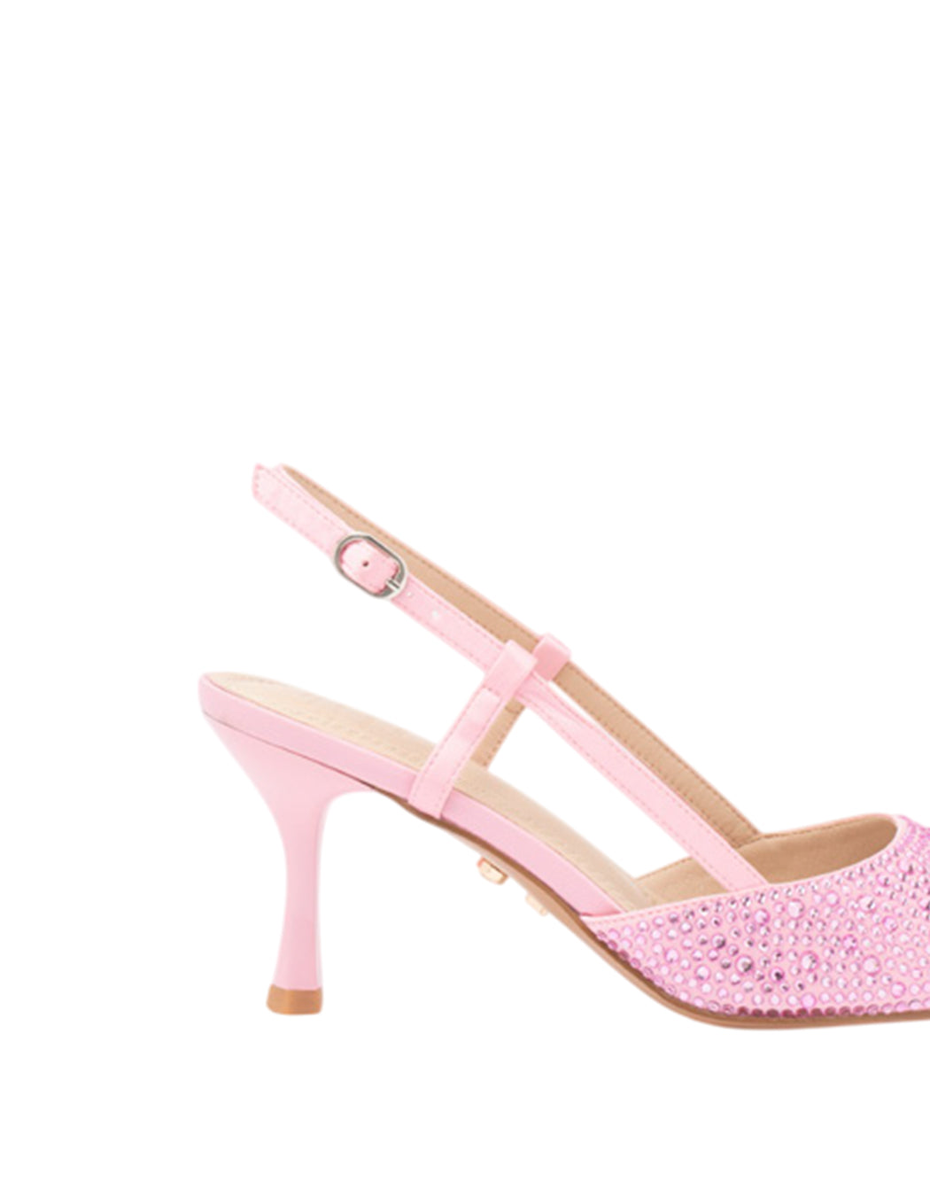 Twenty Fourhaitch  Rosa