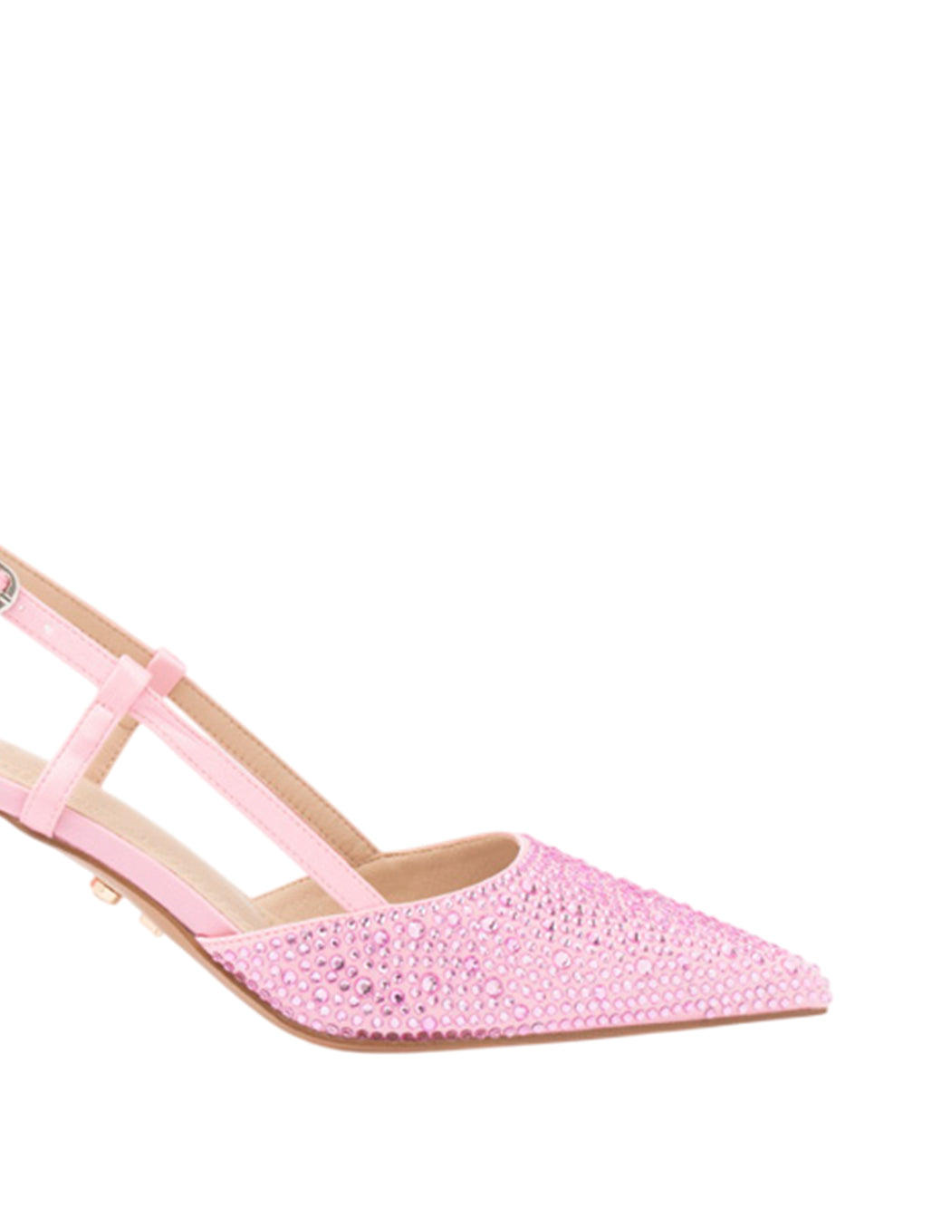 Twenty Fourhaitch  Rosa