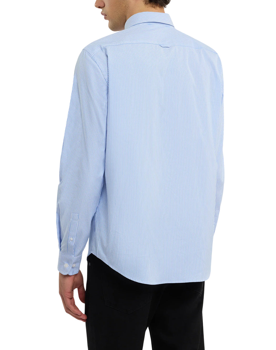 Trussardi  Celeste