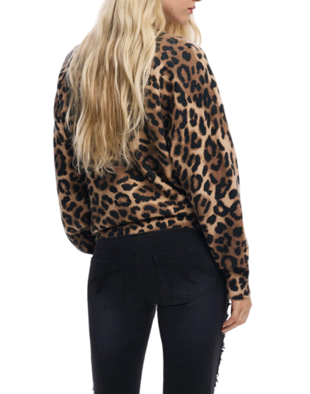 Desigual  Marrone