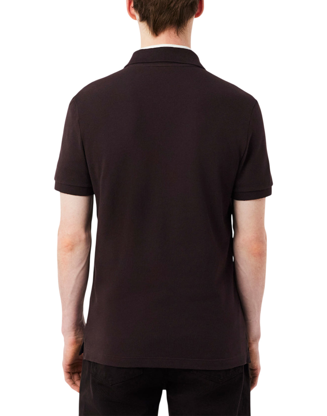 Lacoste  Marrone