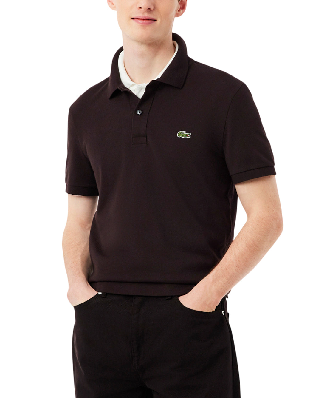 Lacoste Brown