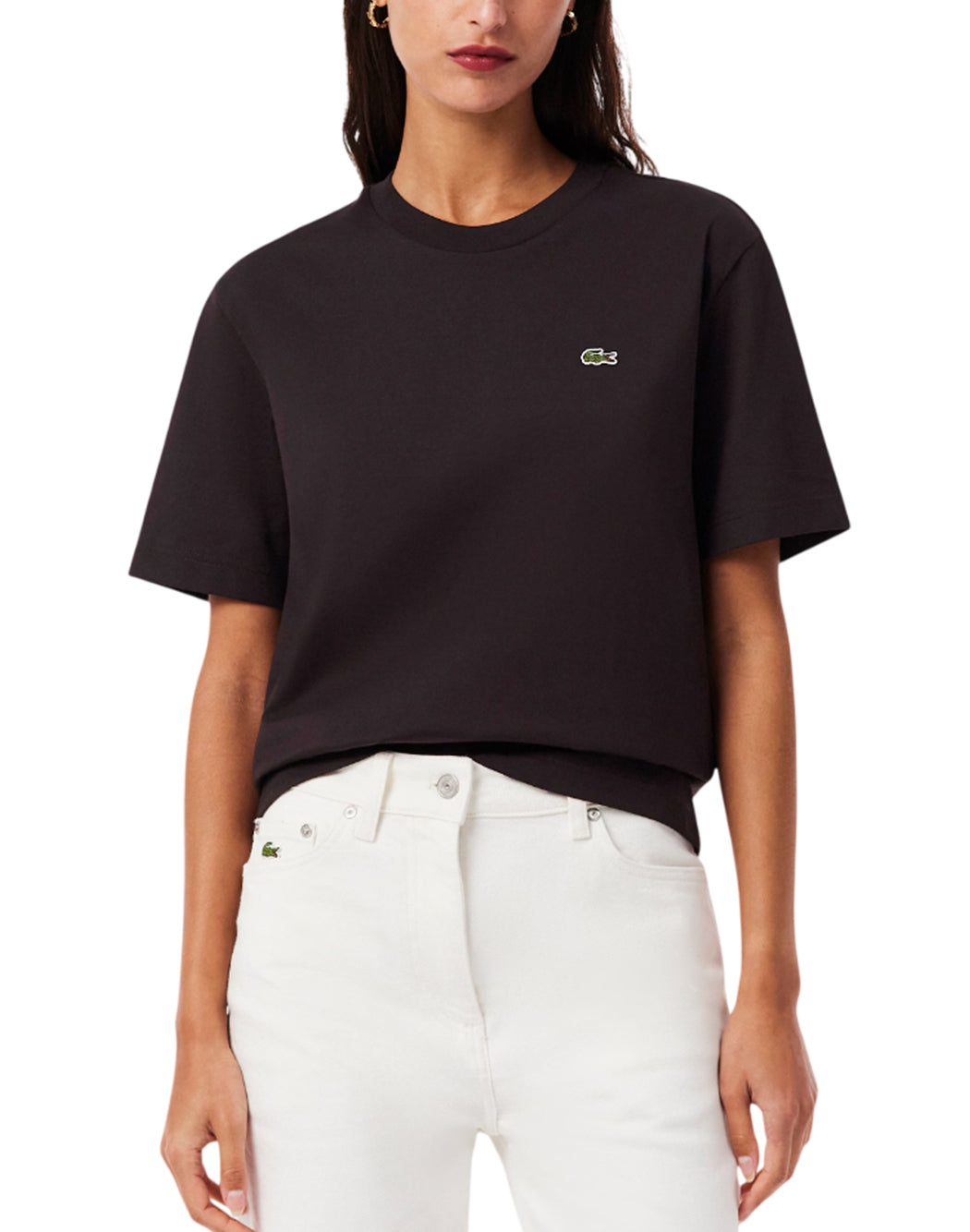 Lacoste  Marrone