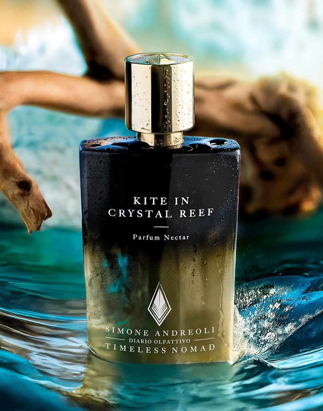 Simone Andreoli KITE IN CRYSTAL REEF EDP Neutro