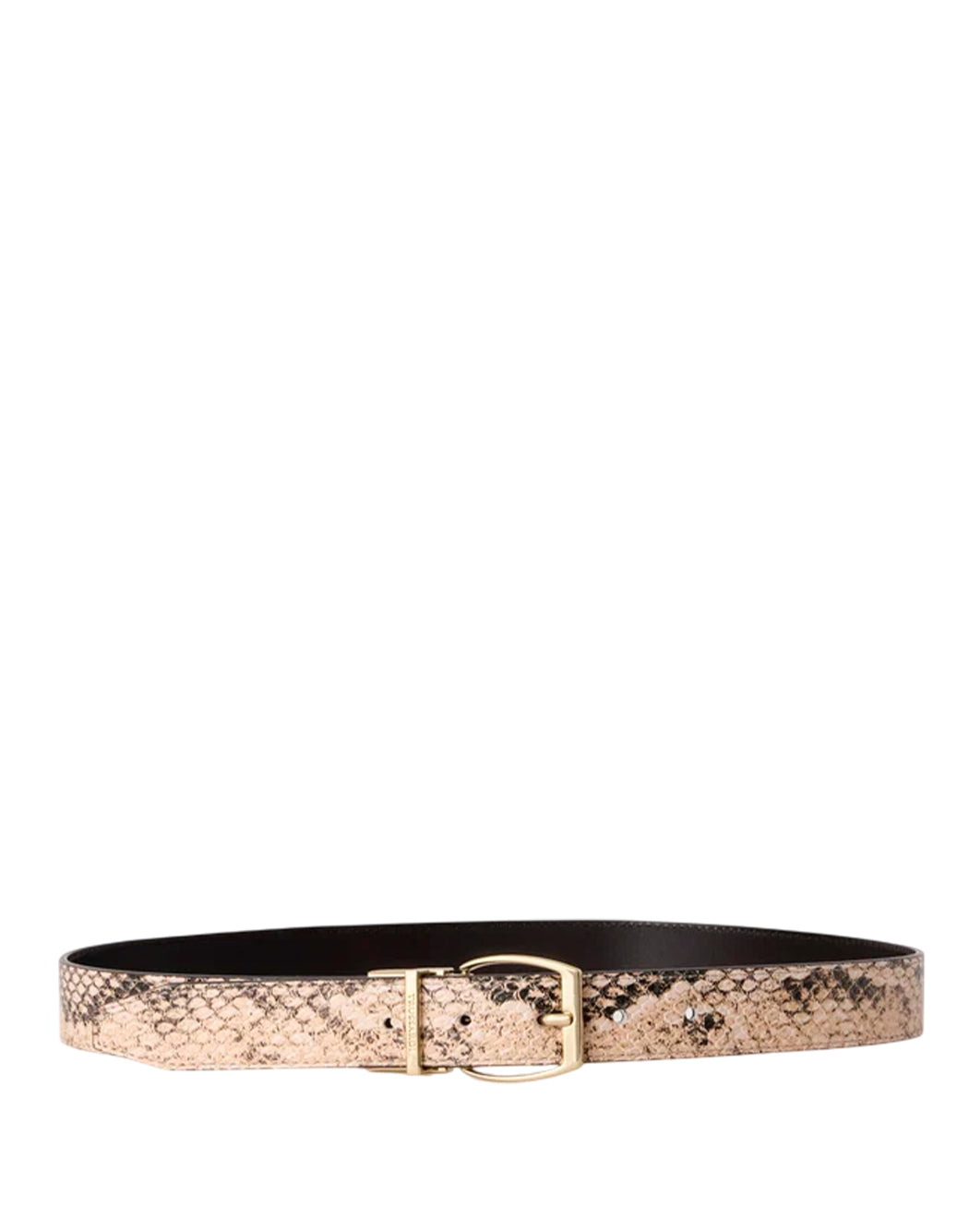 Trussardi  Marrone
