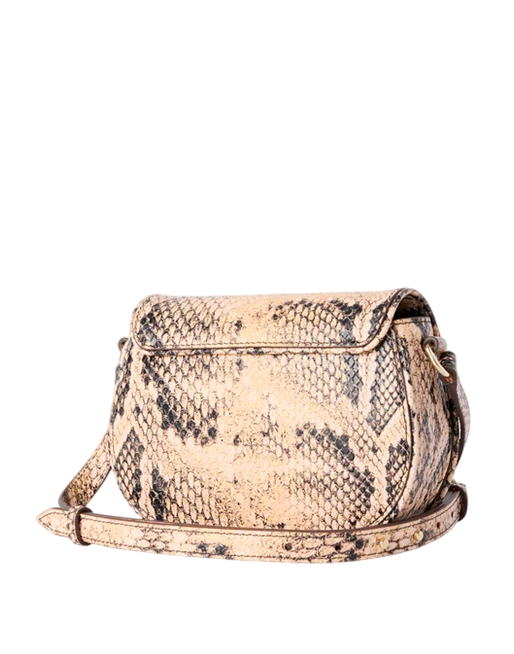 Trussardi  Multicolor