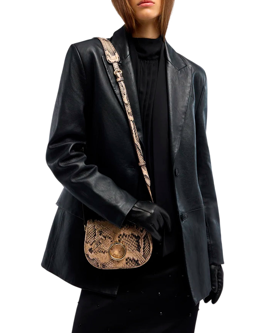 Trussardi  Multicolor