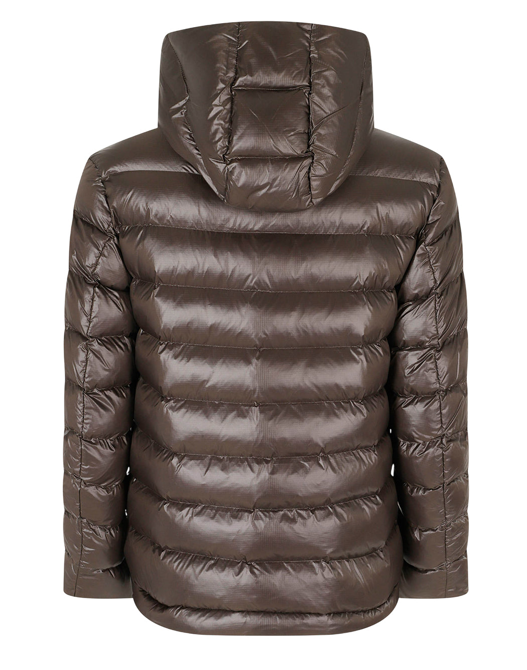 Blauer  Marrone