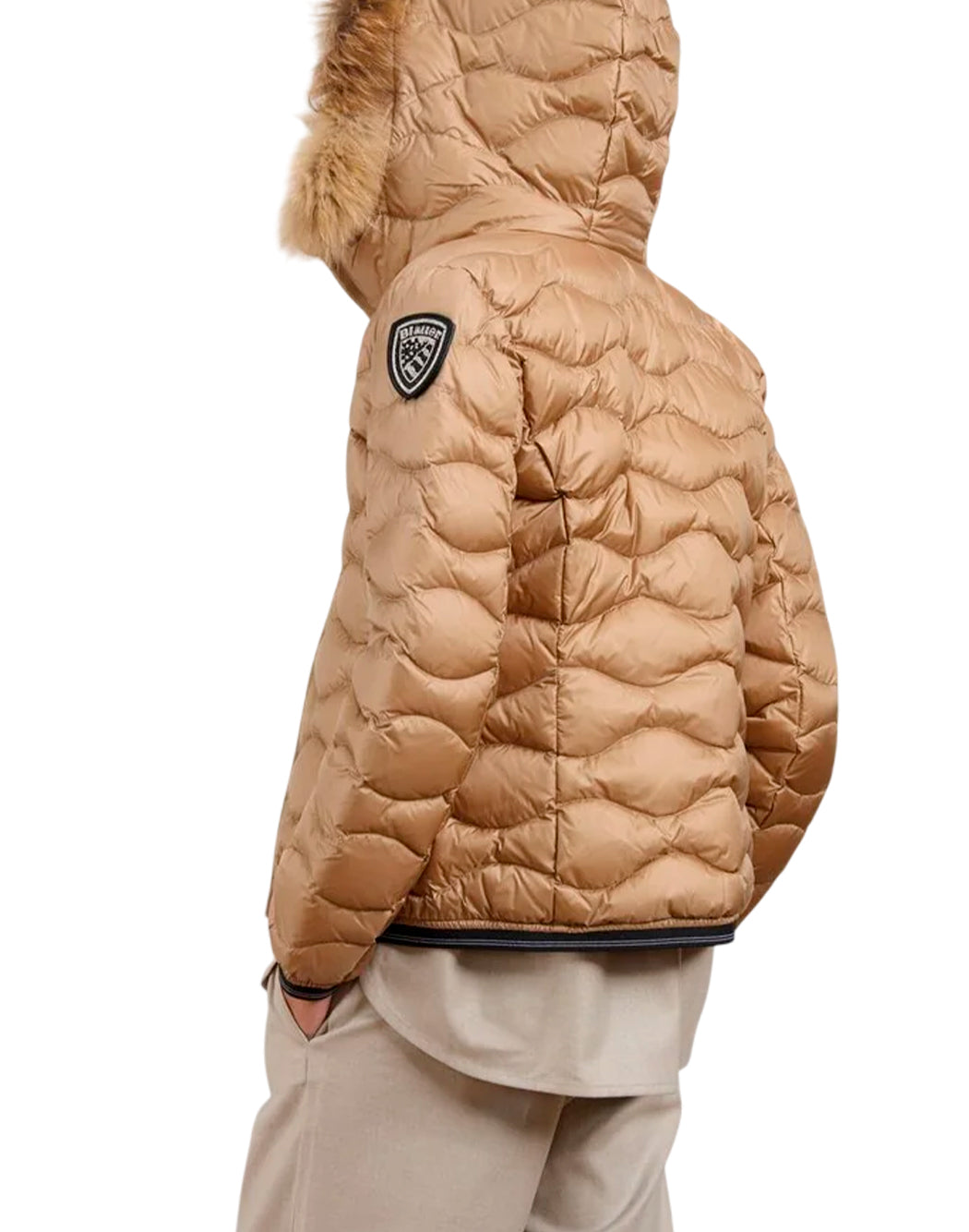 Blauer  Marrone