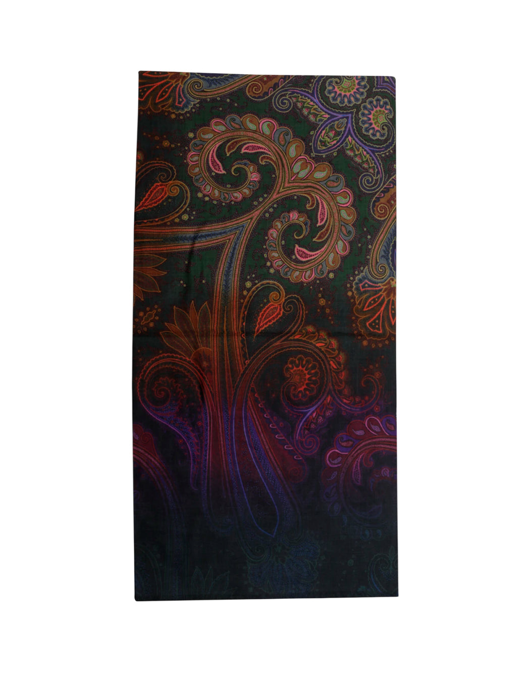 Etro  Multicolor