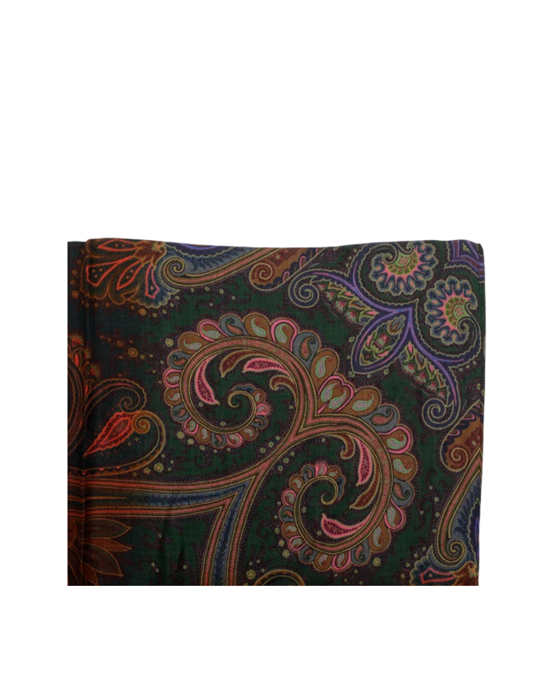Etro  Multicolor