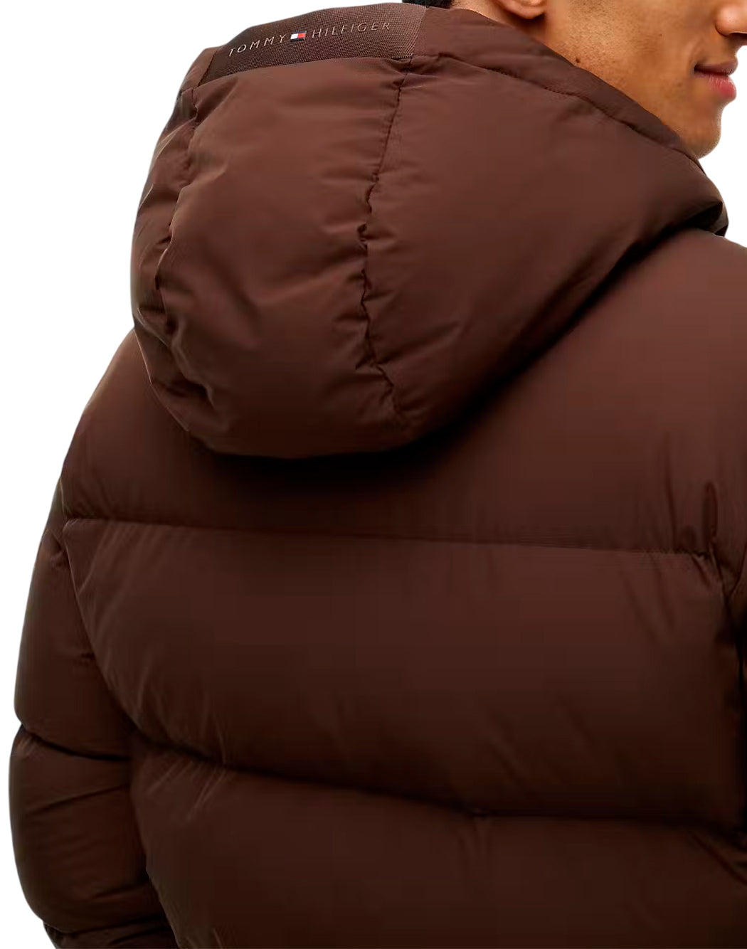 Tommy Hilfiger  Marrone