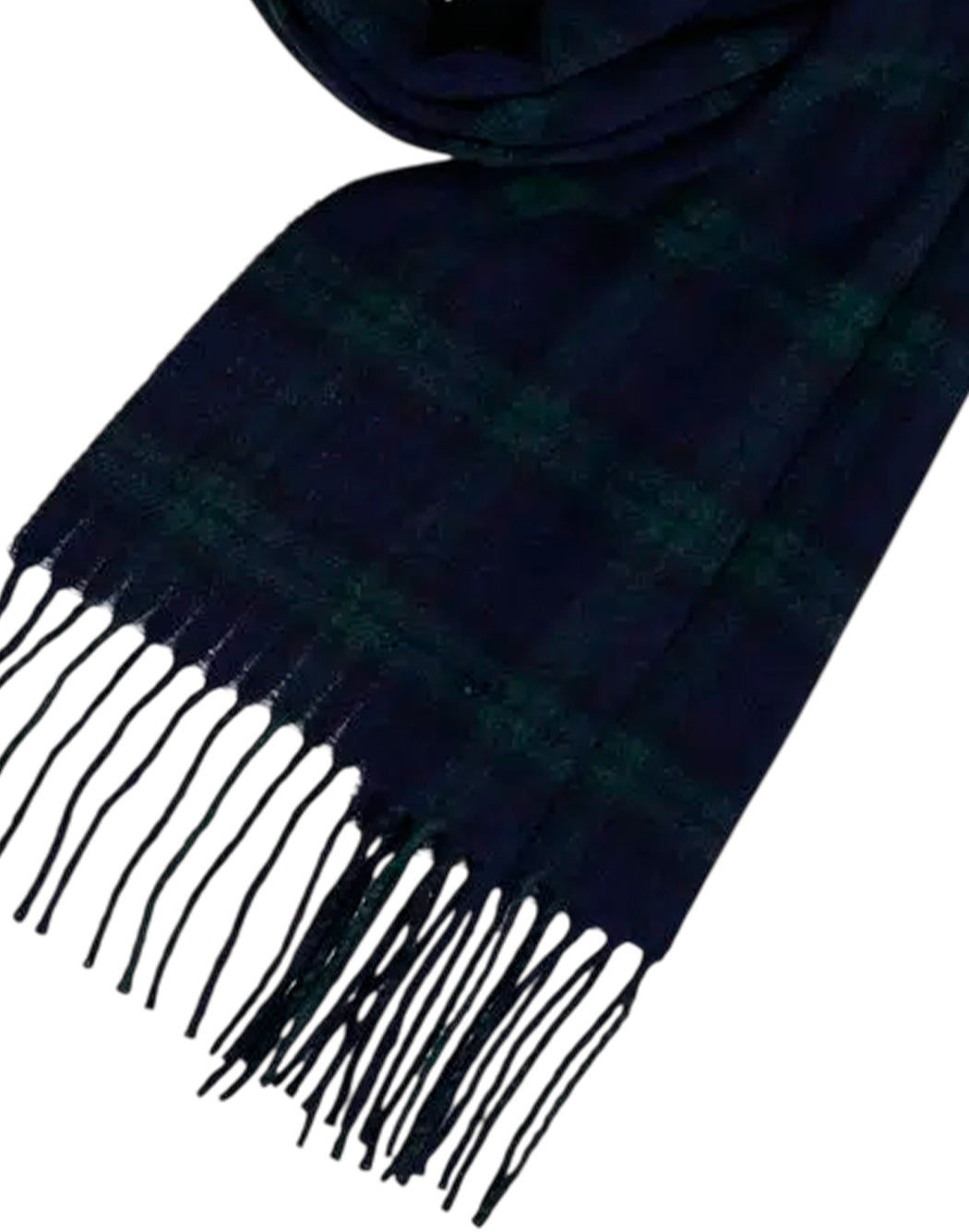 Baracuta  Nero