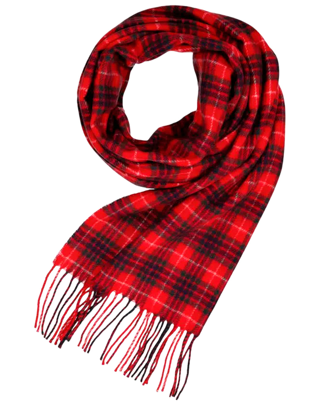 Baracuta  Rosso