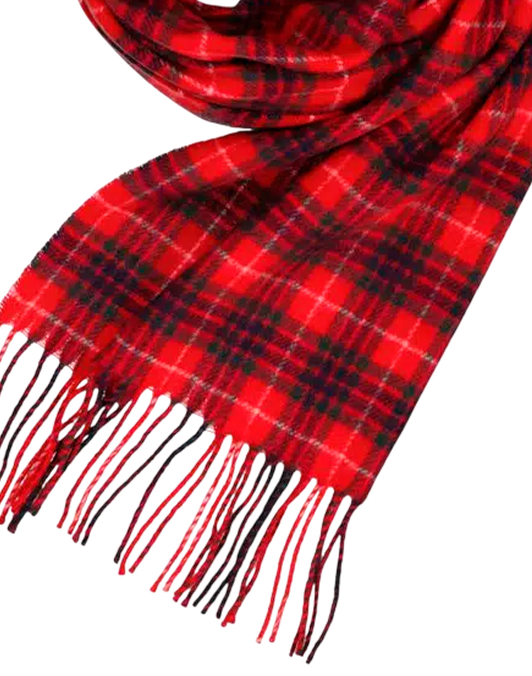 Baracuta  Rosso