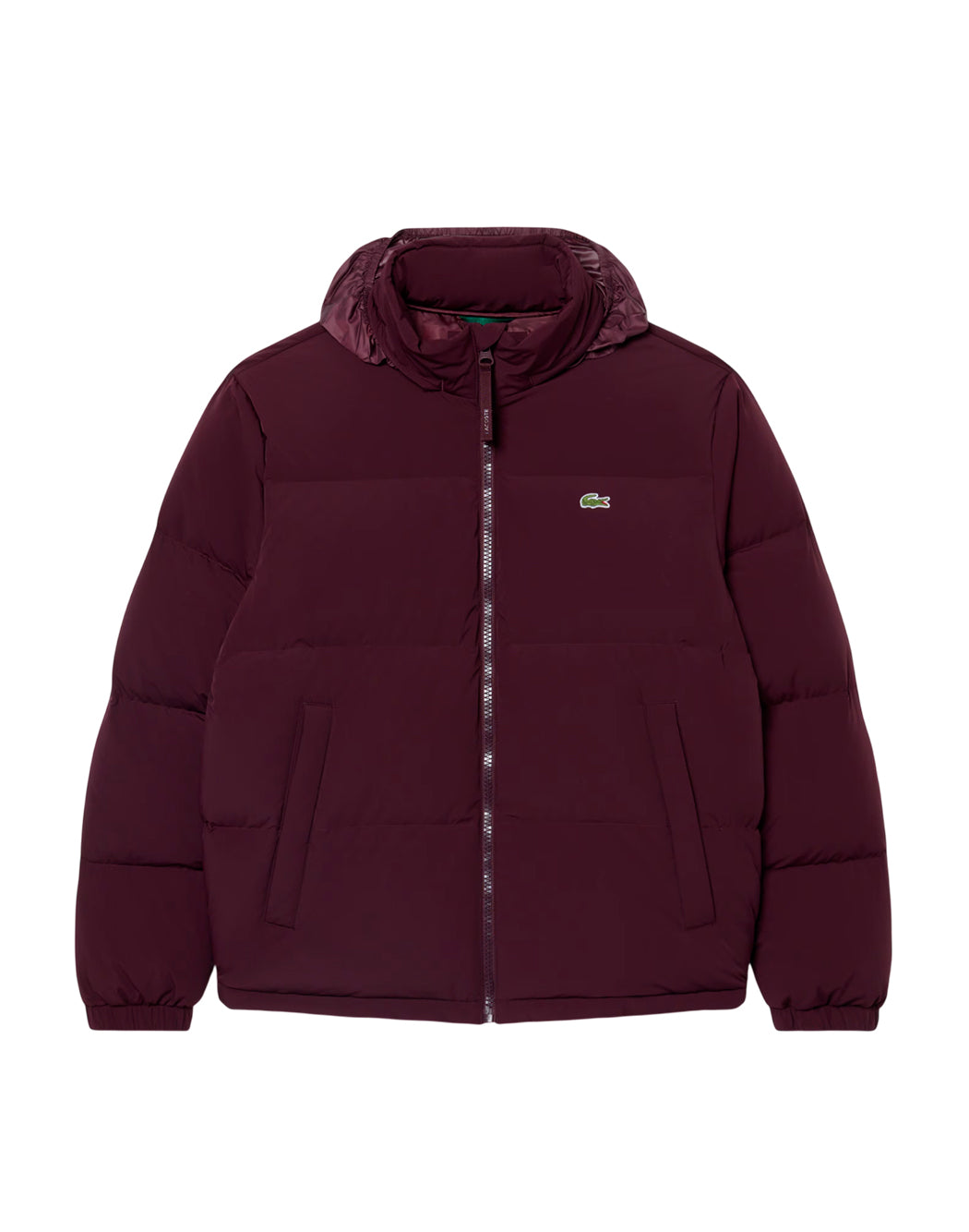 Lacoste Piumini corti da Uomo Lacoste, colore Marrone Marrone
