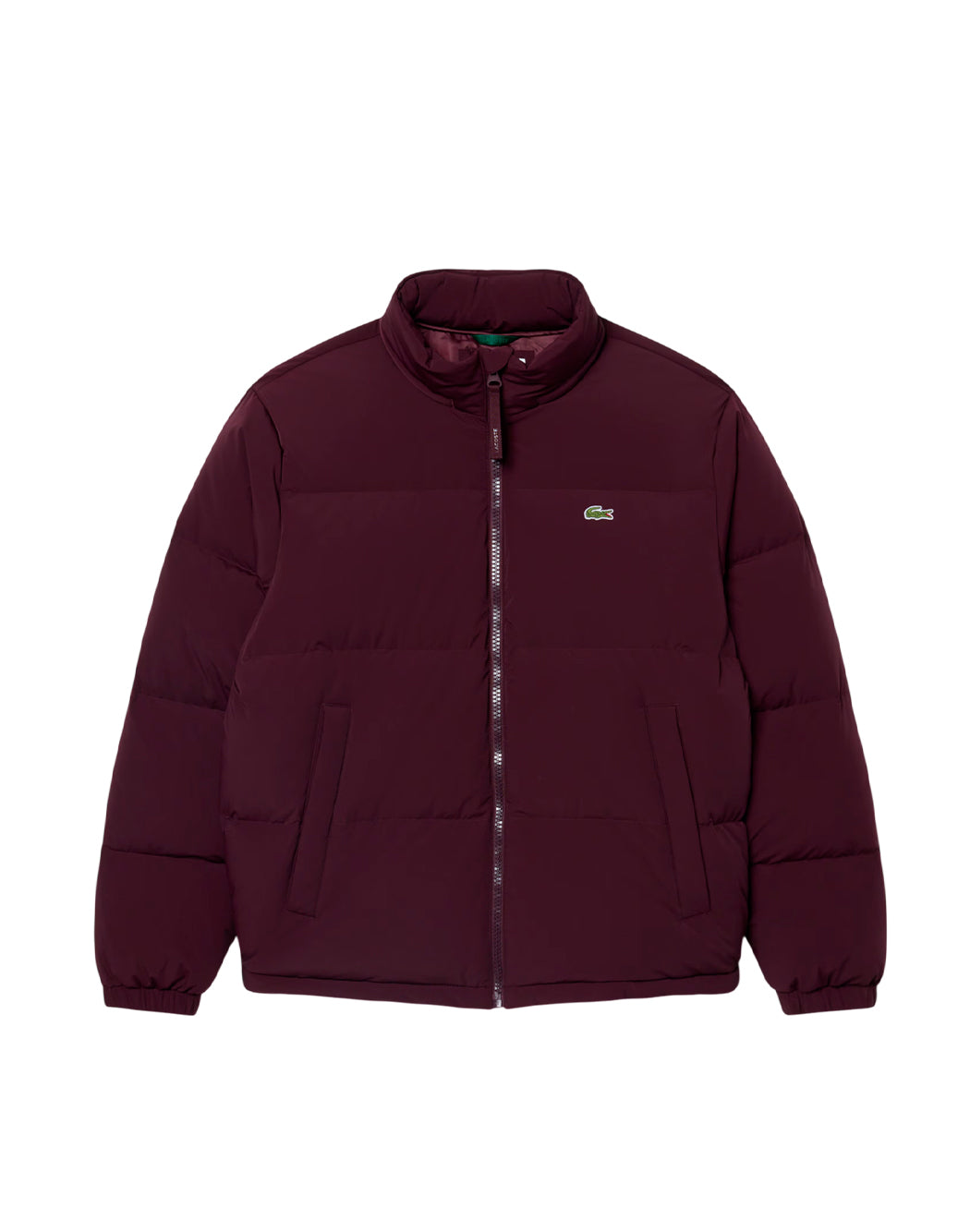 Lacoste Piumini corti da Uomo Lacoste, colore Marrone Marrone