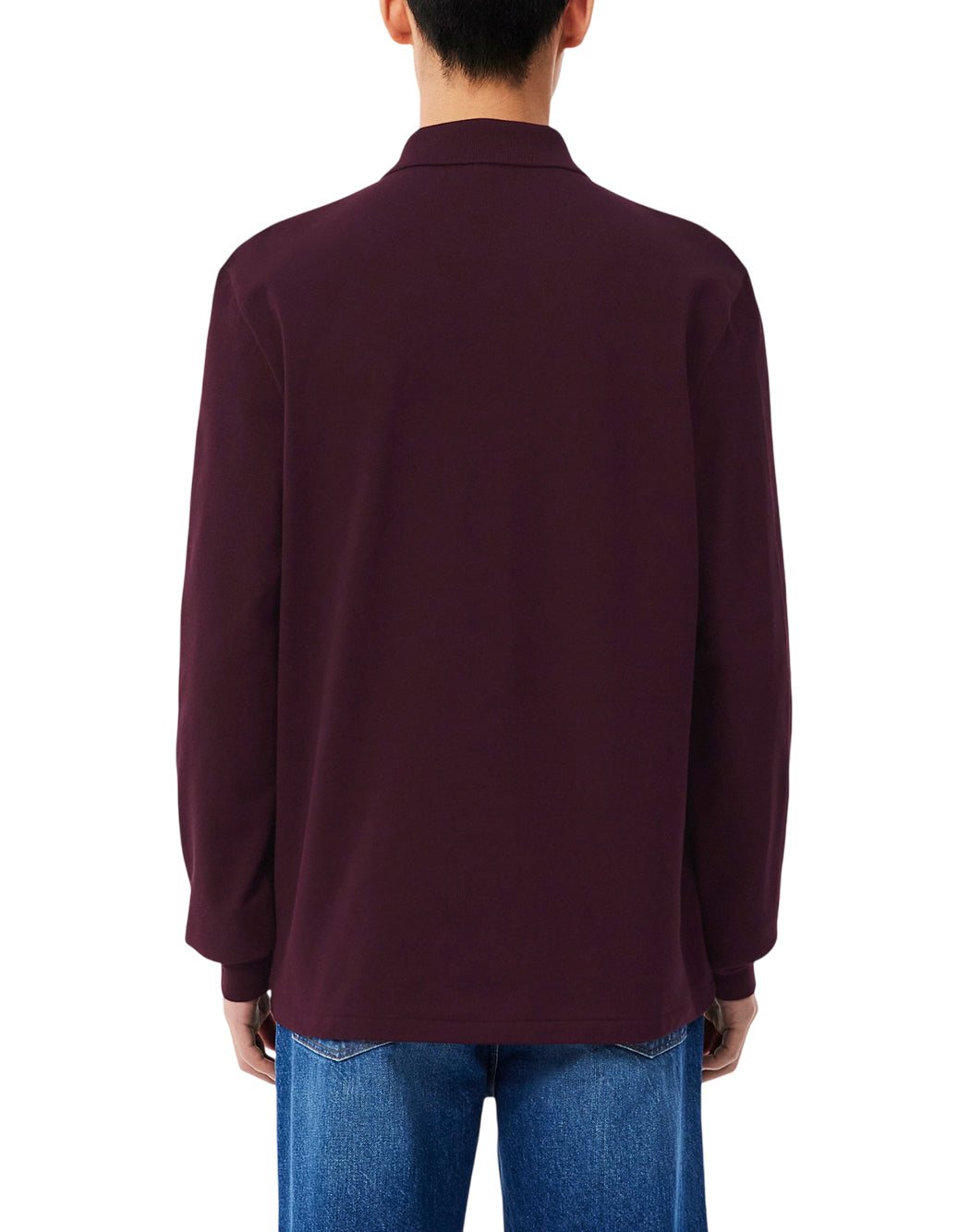 Lacoste  Marrone
