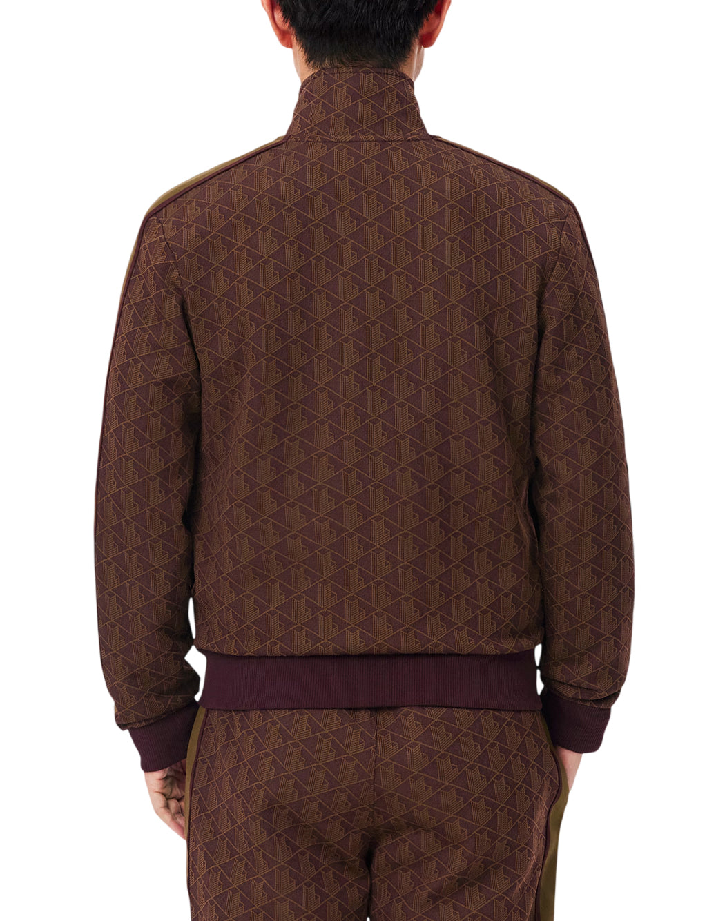 Lacoste  Marrone