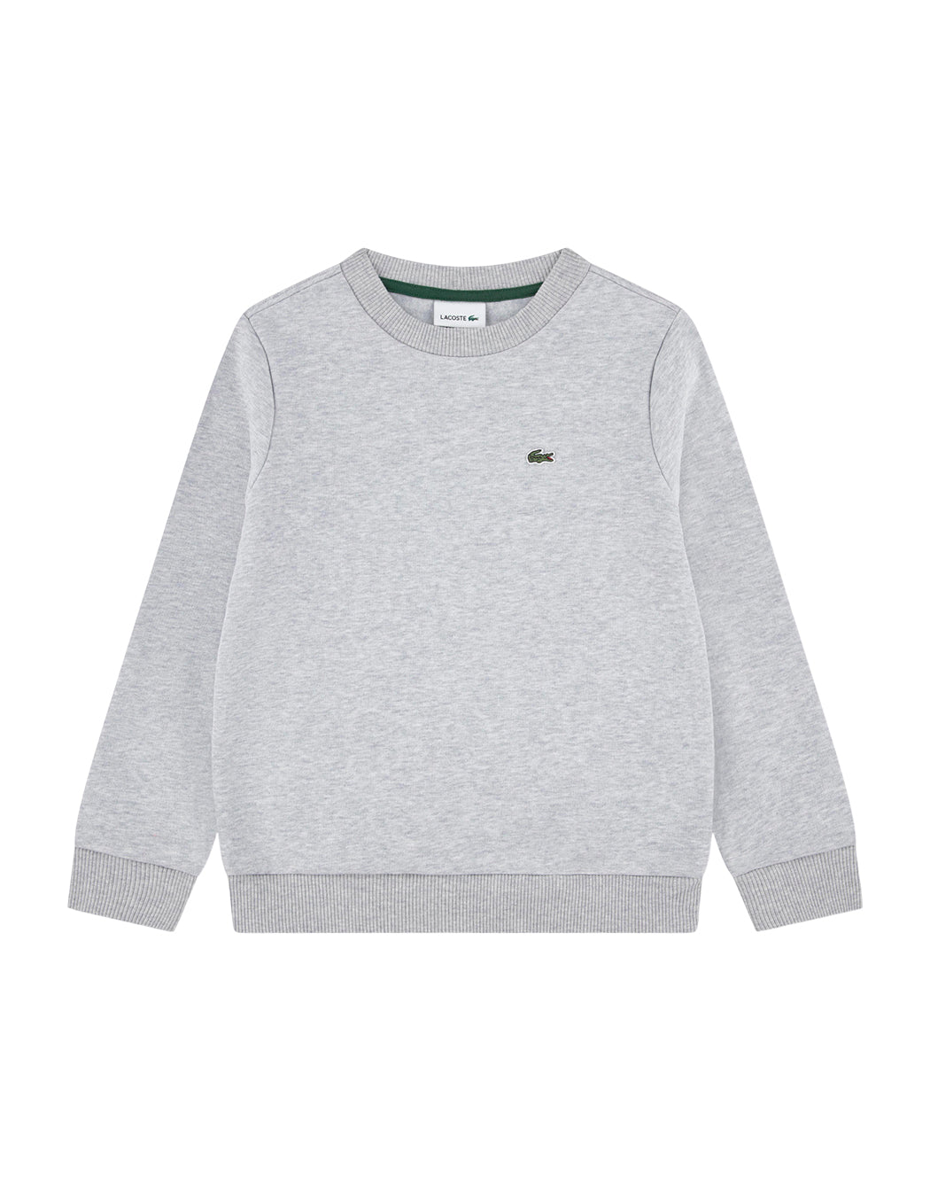 Lacoste  Grigio