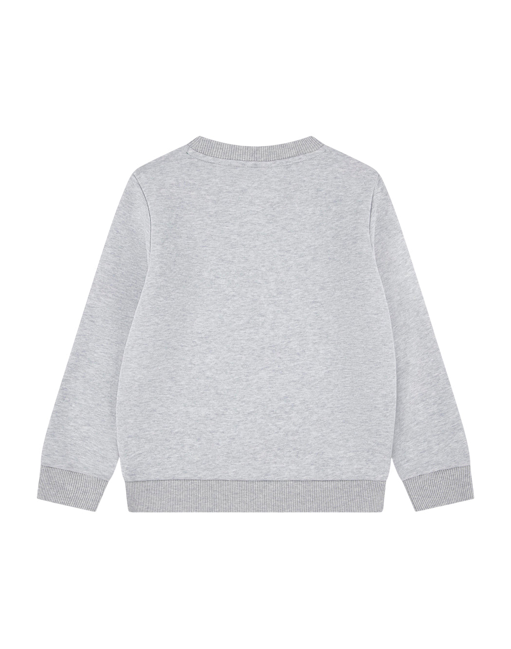 Lacoste  Grigio