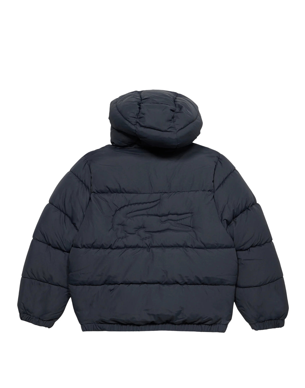 Lacoste  Blu