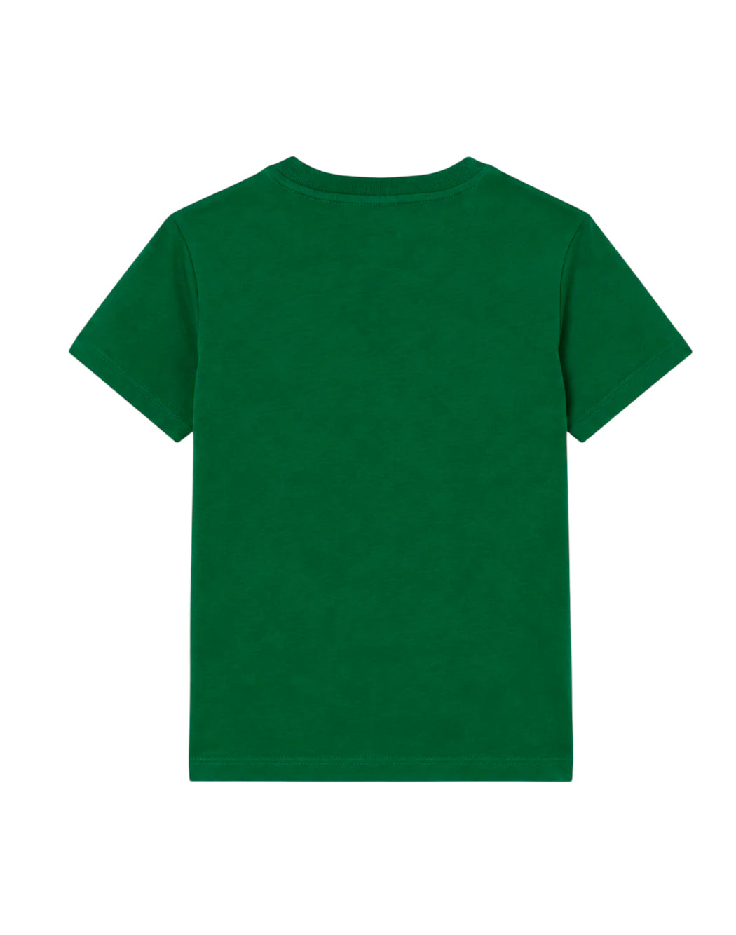 Lacoste  Verde