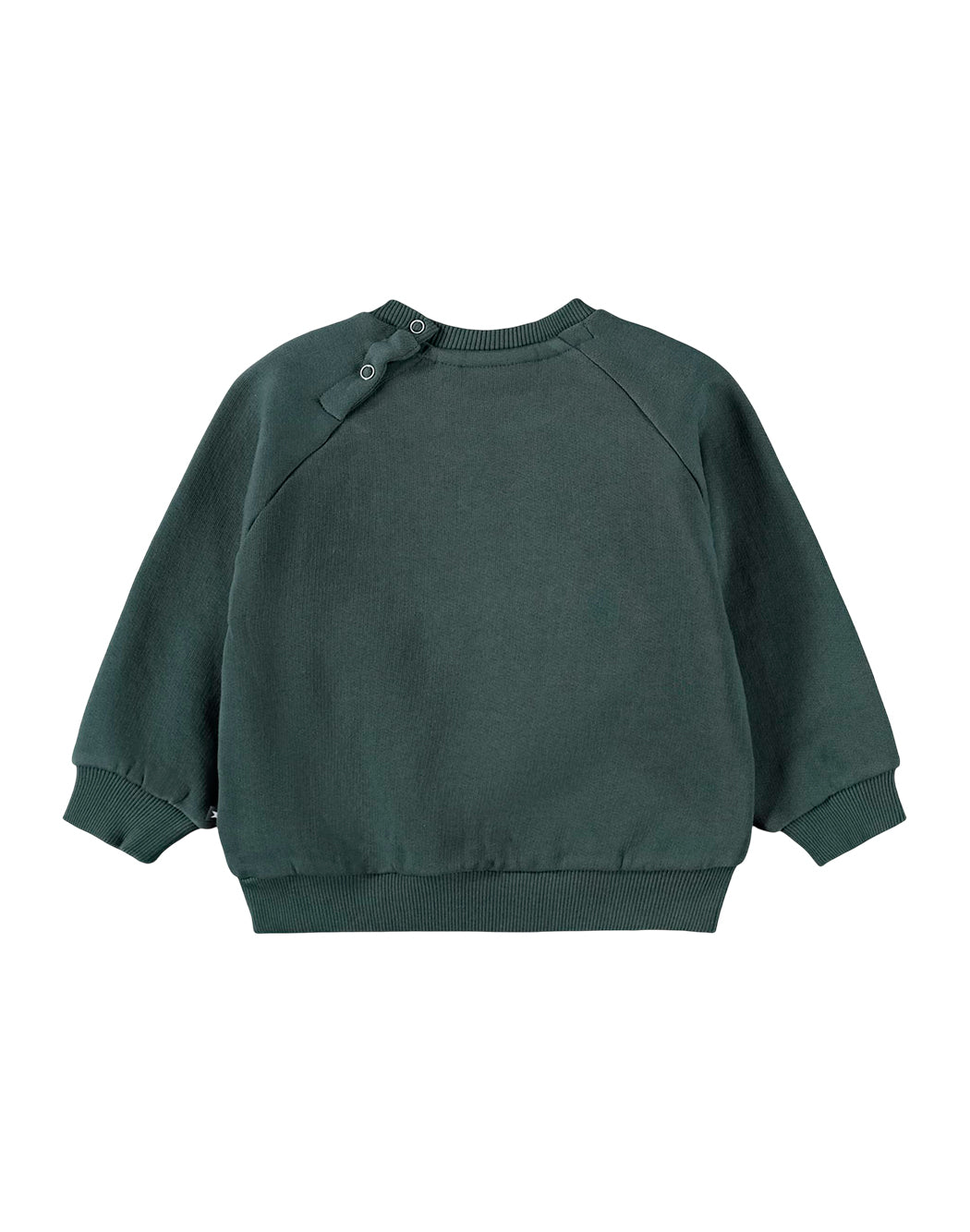 Molo  Verde