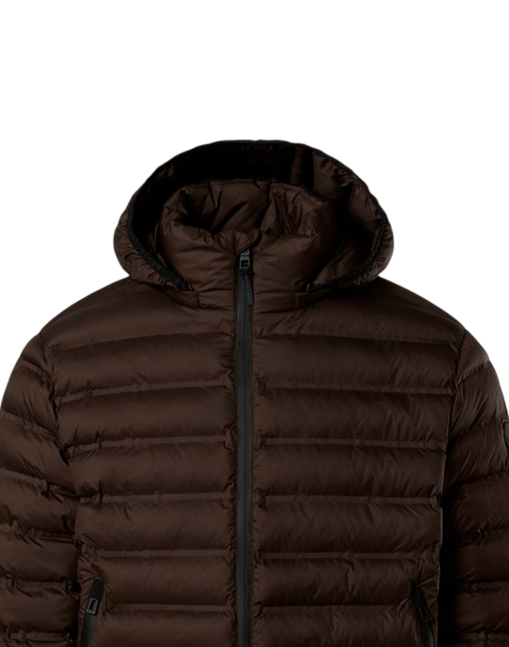 North Sails Piumini corti da Uomo North sails, colore Marrone Marrone
