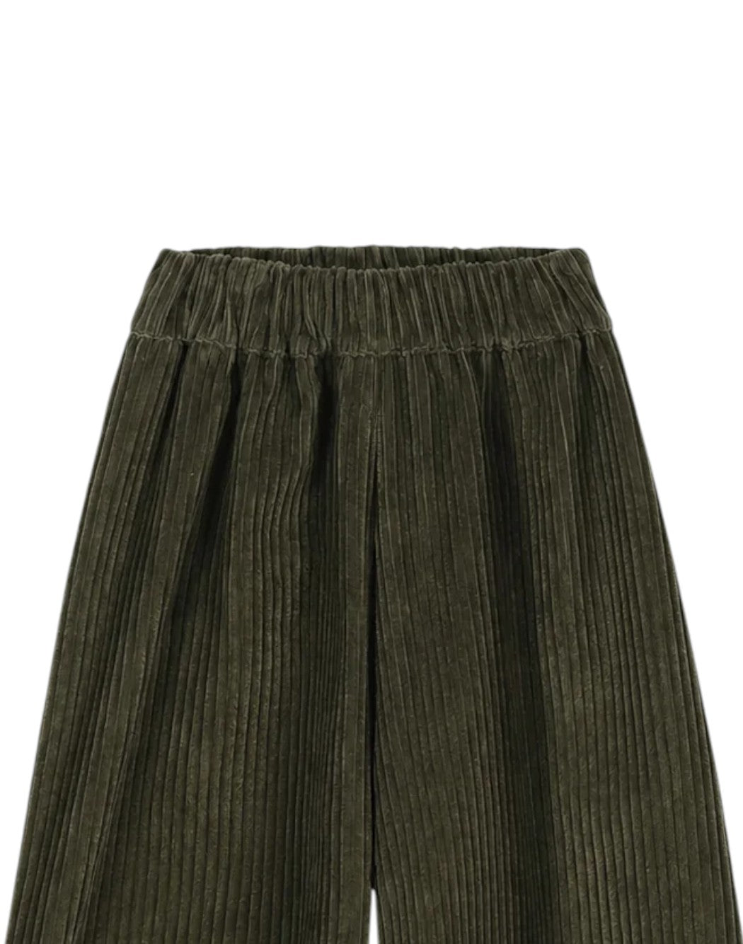 Pesciolino Rosso  Verde