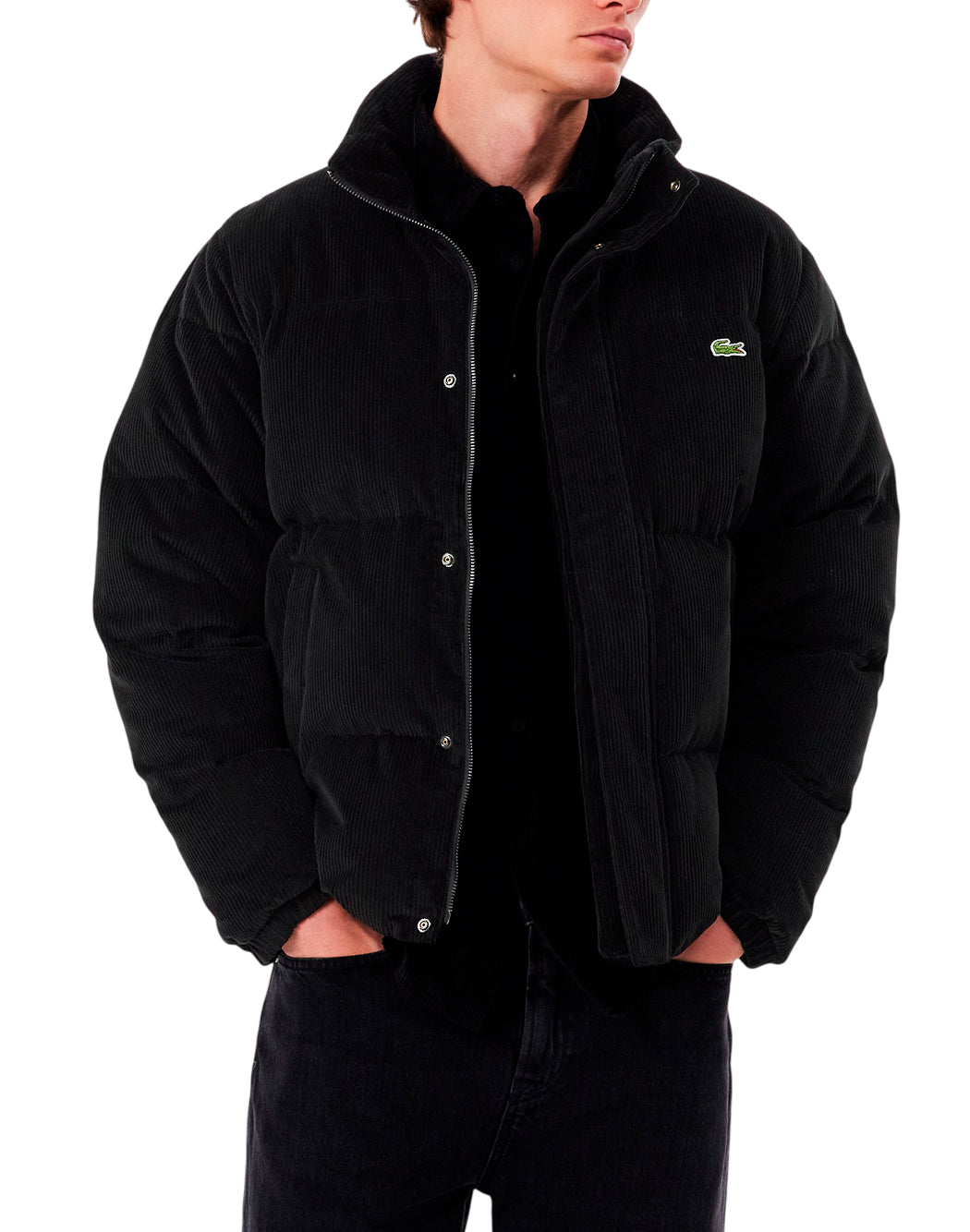 Lacoste Piumini corti da Uomo Lacoste, colore Nero Nero