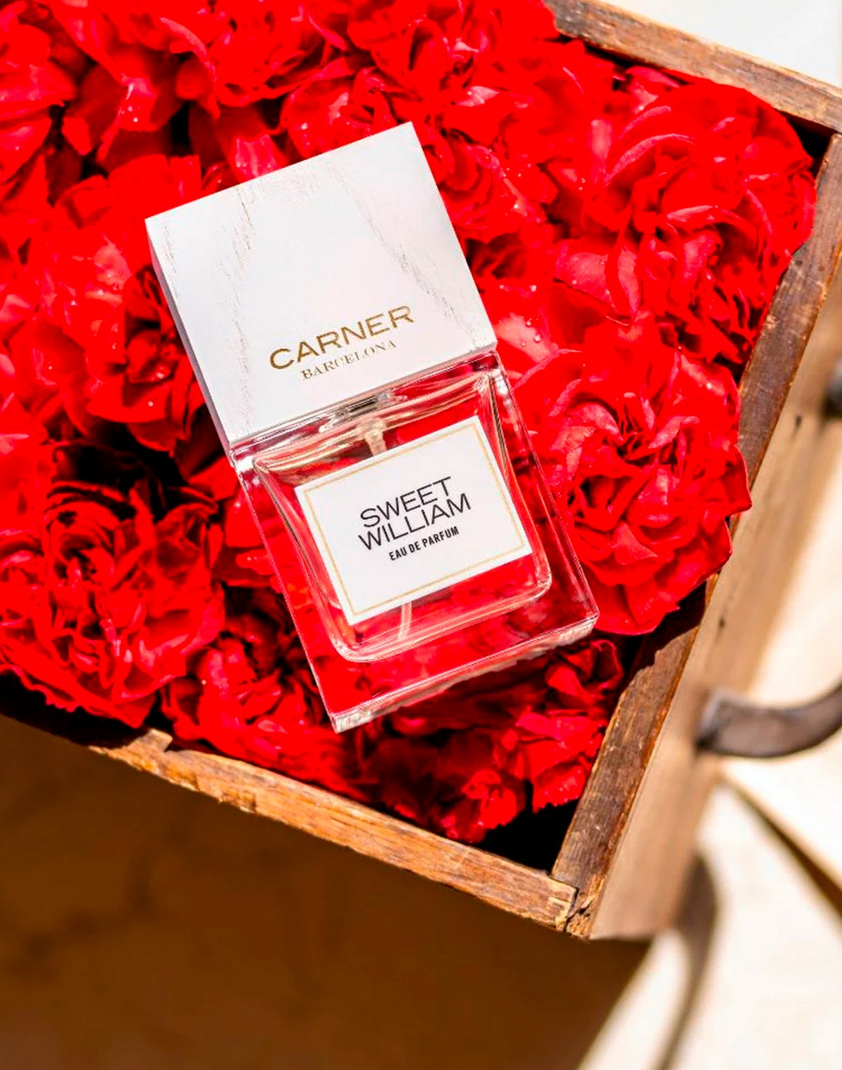 Carner SWEET WILLIAM EDP CARNER Neutro