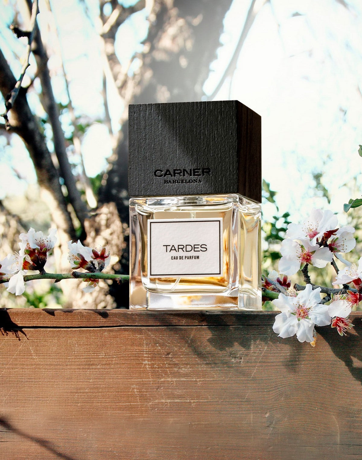 Carner TARDES EDP Neutro