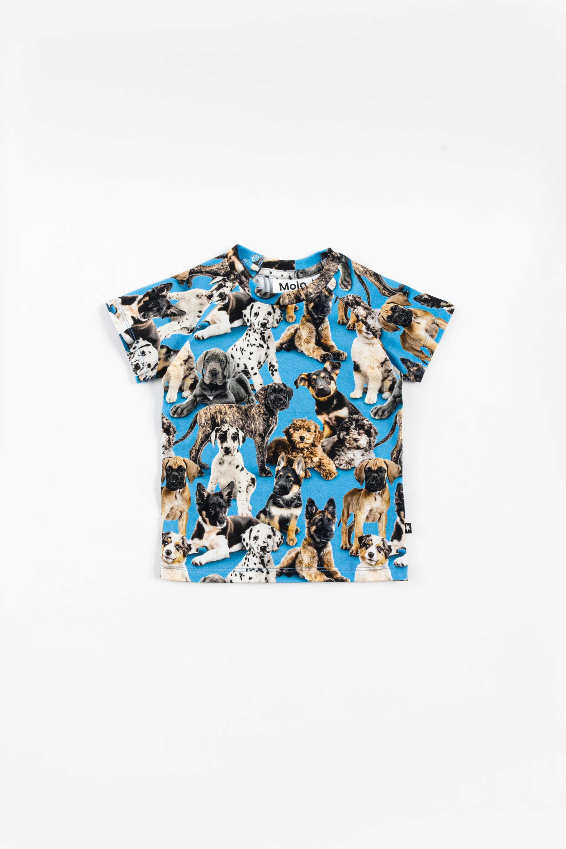 T-SHIRT CON STAMPA CANI ALL-OVER