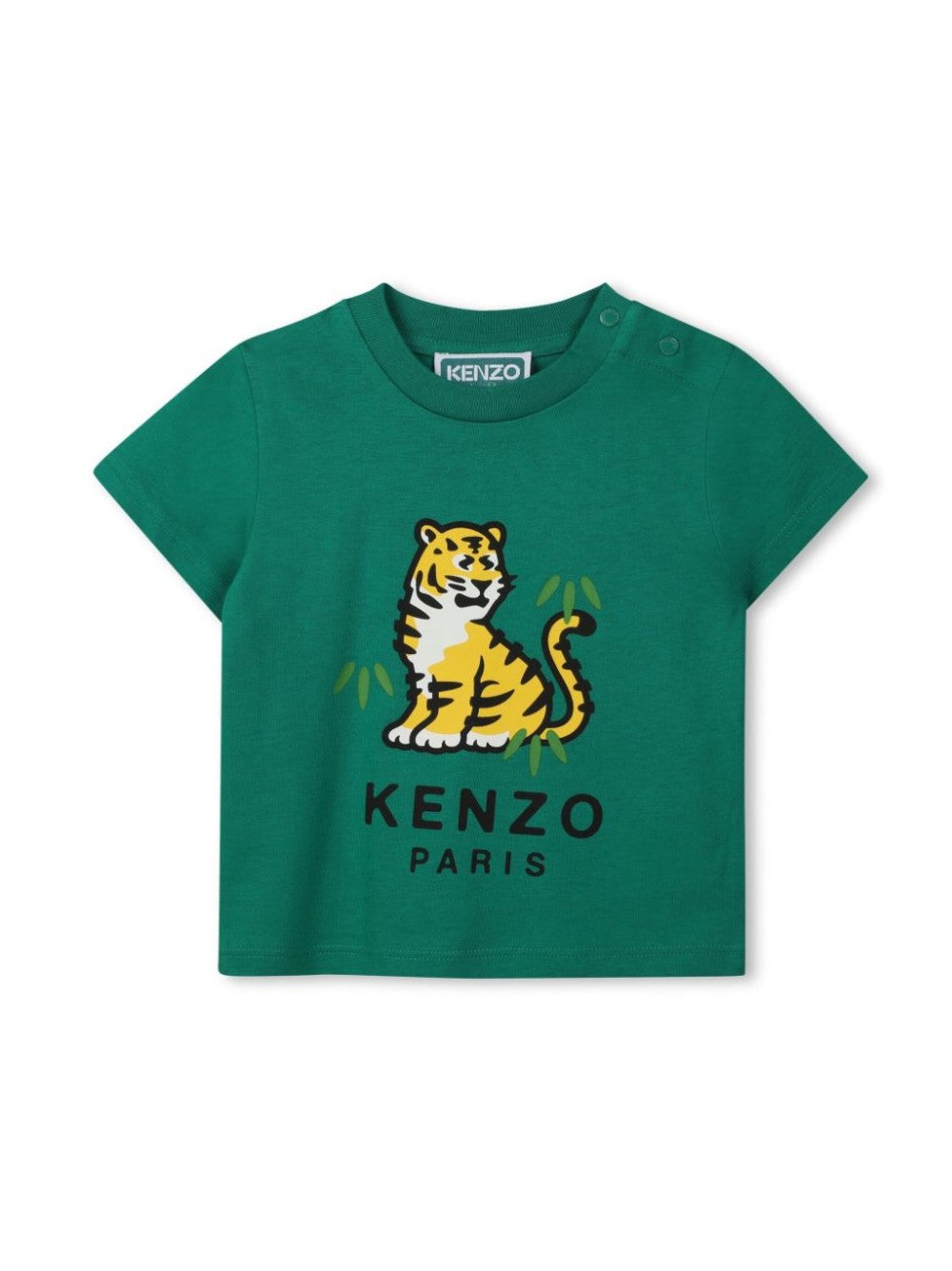 Kenzo  Verde